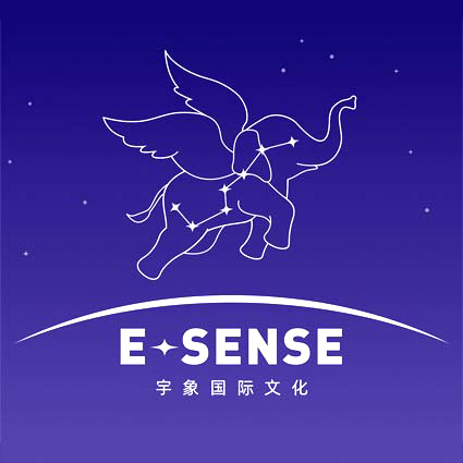 宇象 E-SENSE